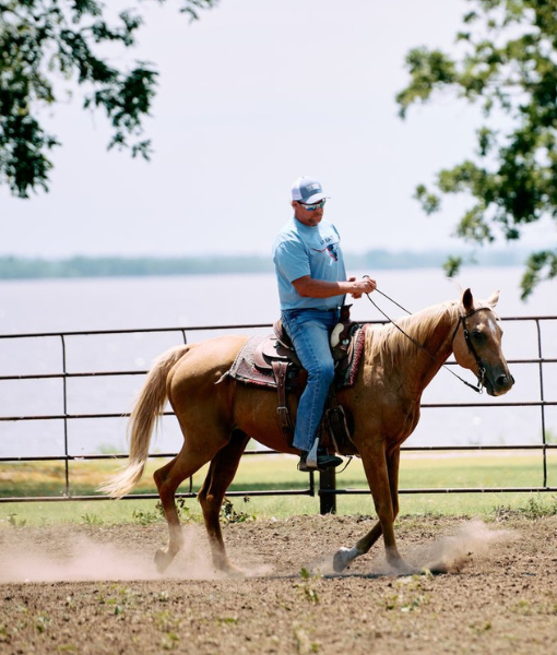 Horseback Riding